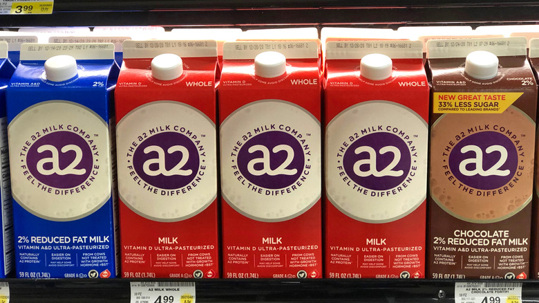 Row of A2 milks