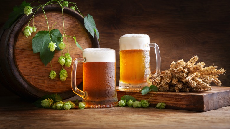 Glasses of beer and hops