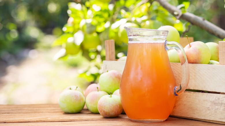Apple cider in a pitcher