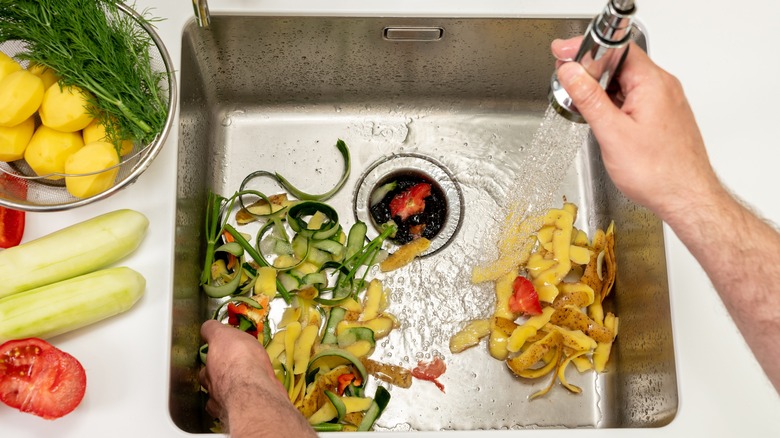 Garbage disposal unit and vegetable peels