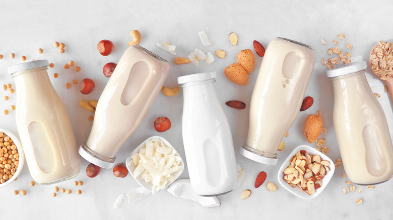 Vegan milk against a white background