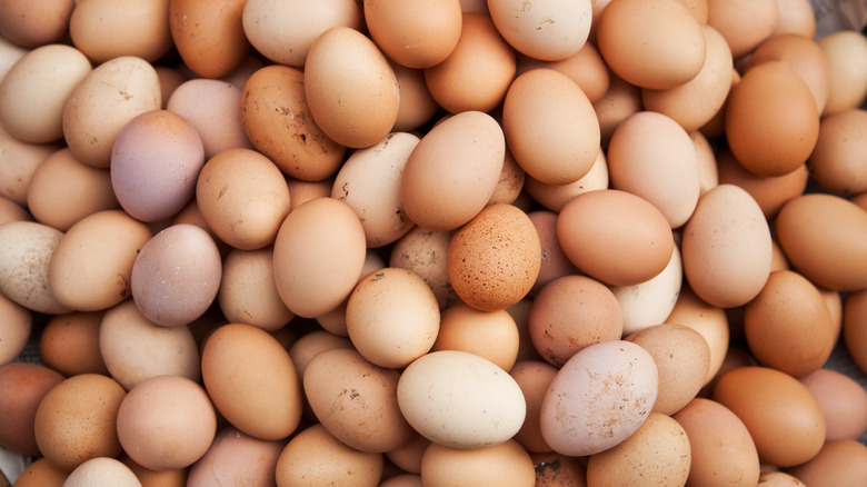Assortment of brown eggs