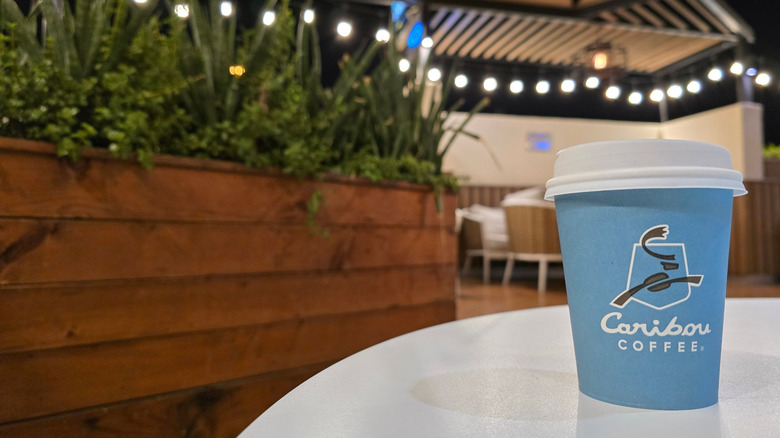 A cup of Caribou Coffee