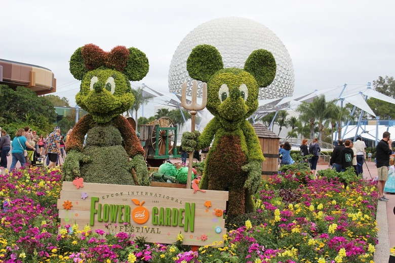 The 8 Best Spring Flower Shows Across America