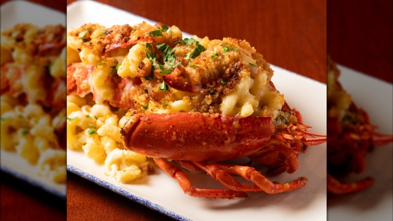 Lobster mac and cheese presented with the mac and cheese arranged in the shell of the lobster