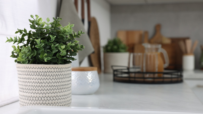 An artificial plant sitting on a kitchen countertop