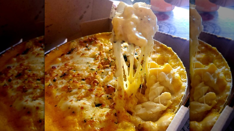 Close-up on fork scooping a bite of House's of mac's five-cheese mac