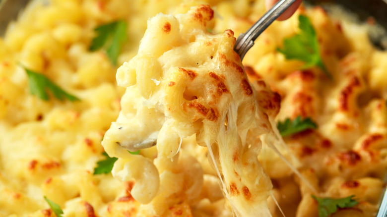 Close-up on a fork serving gooey mac and cheese