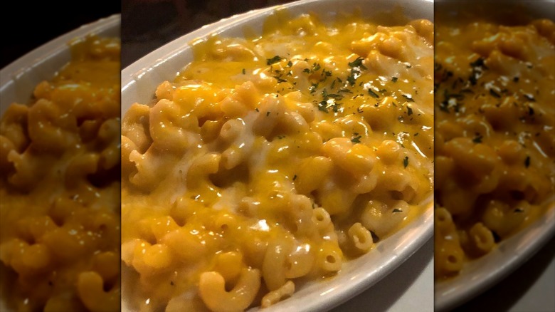 Close-up on a bowl of Ark Pub mac and cheese