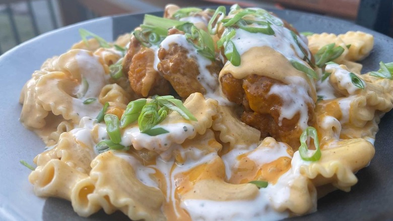 Close-up of a plate of Nicoletti's buffalo chicken mac