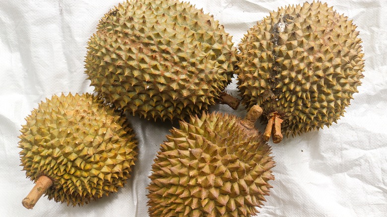 whole uncut durian fruits