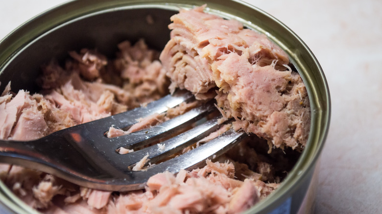 canned tuna with fork