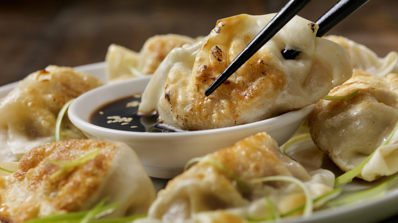 Dipping fried dumpling in soy sauce with chopsticks