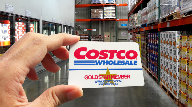 Hand holding Costco membership card