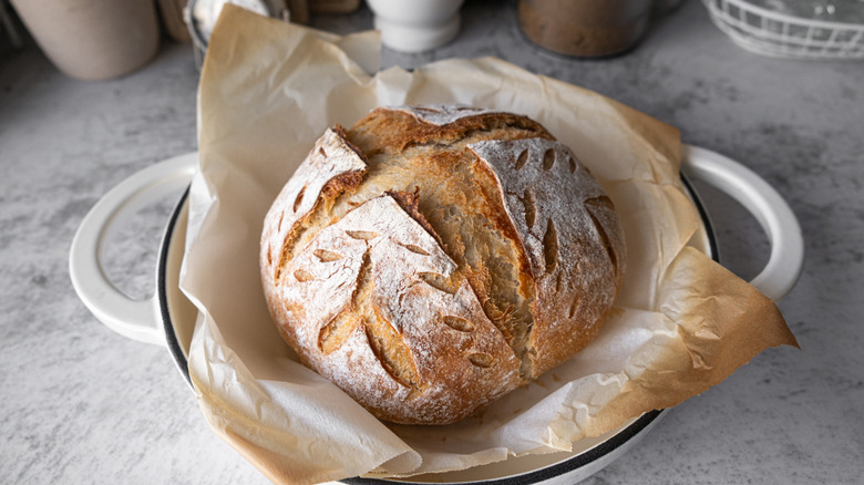Freshly baked sourdough boule on parchment paper in a Dutch oven