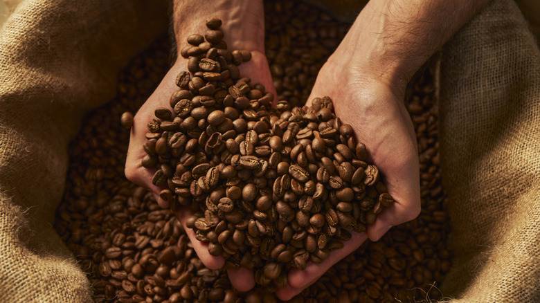 Person holding coffee beans 