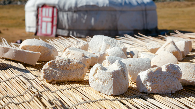 Mongolian cheese drying in sun