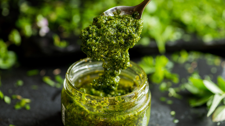 Pesto sauce on a spoon