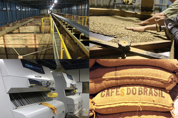 Storing, Sorting, Bagging