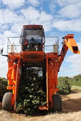 Mechanized Picking