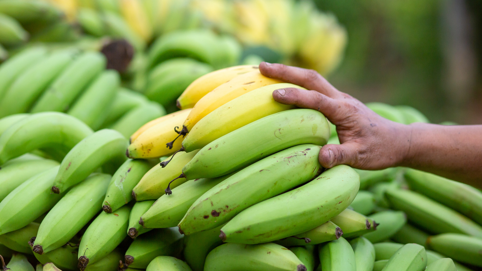 The Banana Rule You've Been Breaking This Whole Time