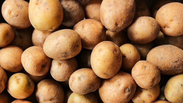 Pile of fresh small potatoes, harvest potatoes, top view