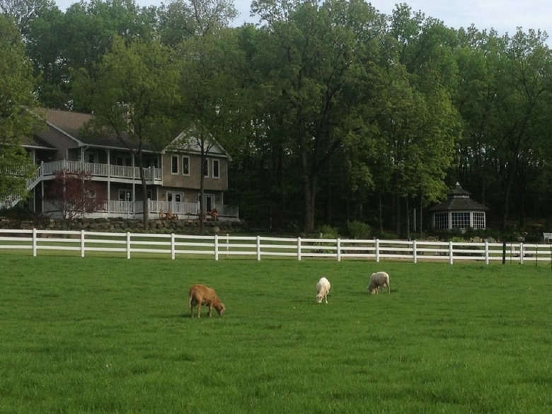 Wisconsin: The Speckled Hen Inn (Madison)