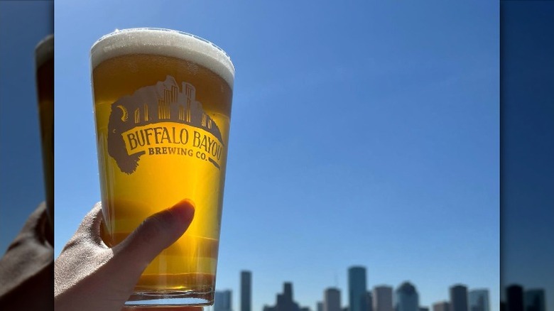 Buffalo Bayou pint glass