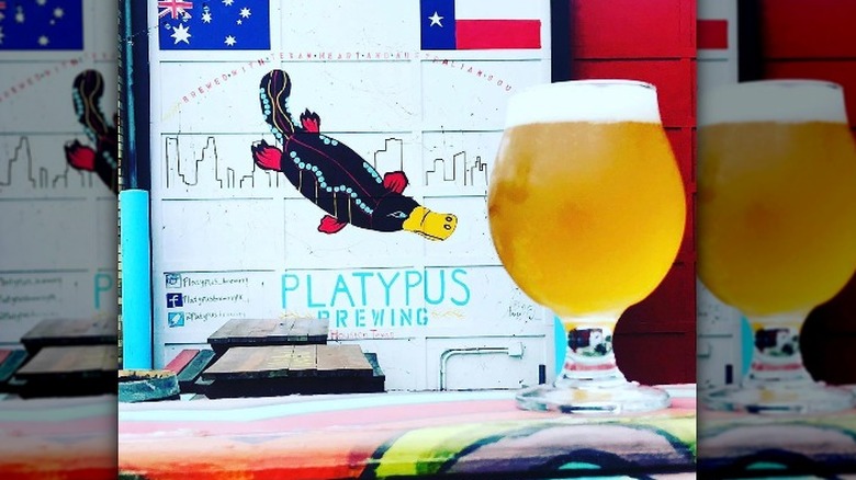 Platypus logo and beer glass