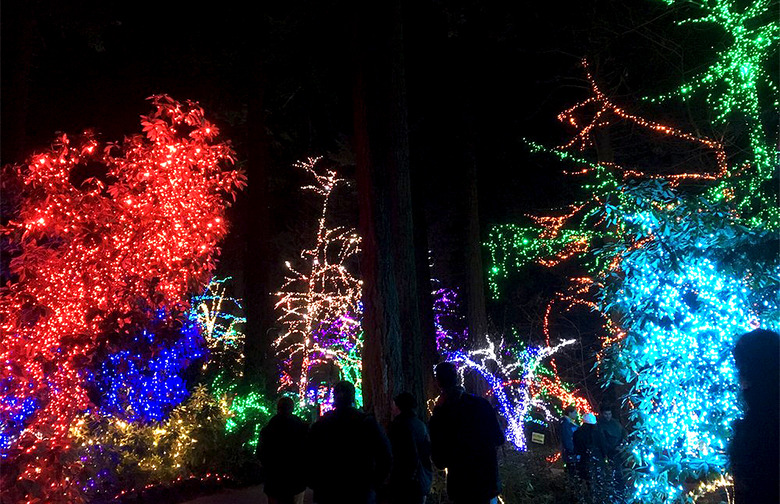 The Best Christmas Light Displays in Every State Gallery