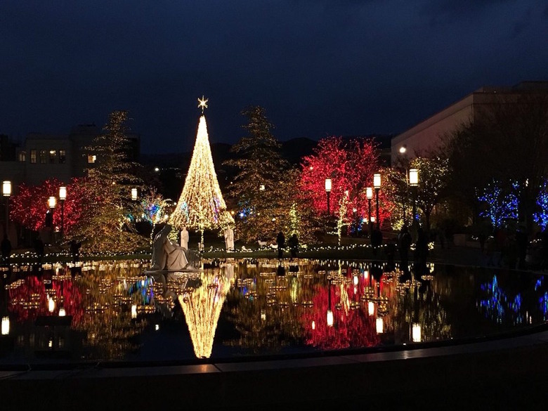 The Best Christmas Light Displays in Every State Gallery