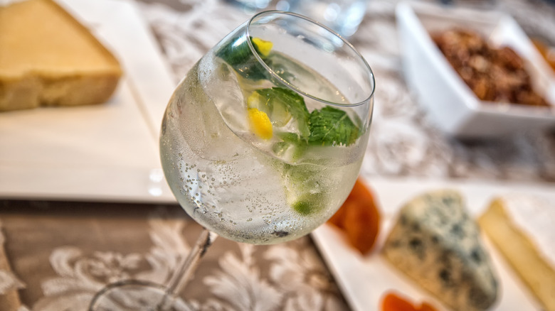 Gin and tonic with cheese, snacks