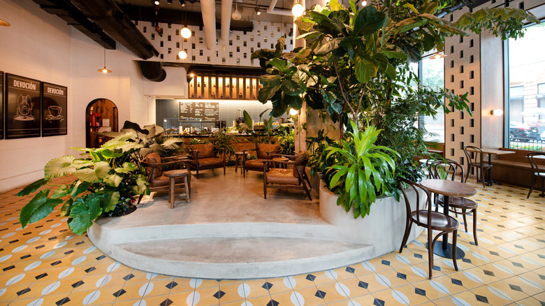 Interior of Devoción with lush greenery, couches, and yellow tiled flooring