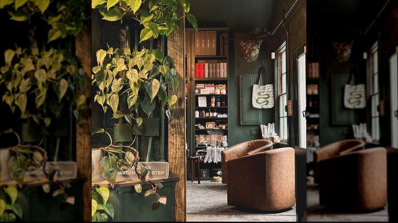 Leather couches and green walls adorned in shelves, plants, and books