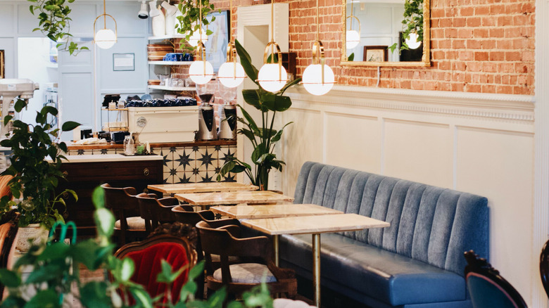 Bright coffee shop with greenery, blue velvet couch and tables lined up