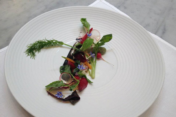 ALI ROSEN, Video Reporter and Producer