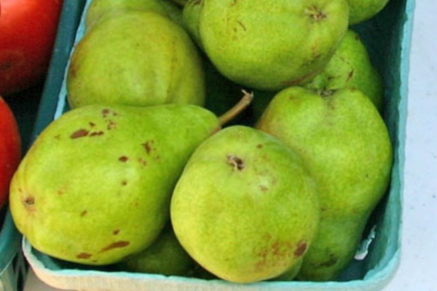 Pears