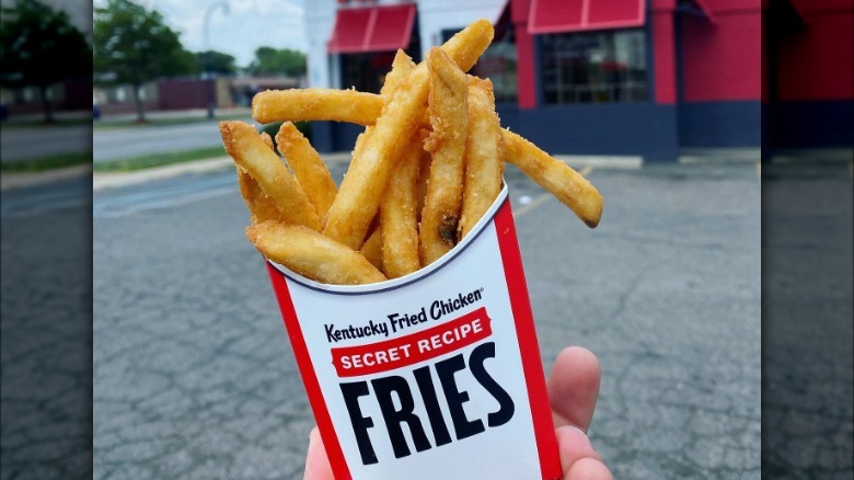 KFC Secret Recipe Fries