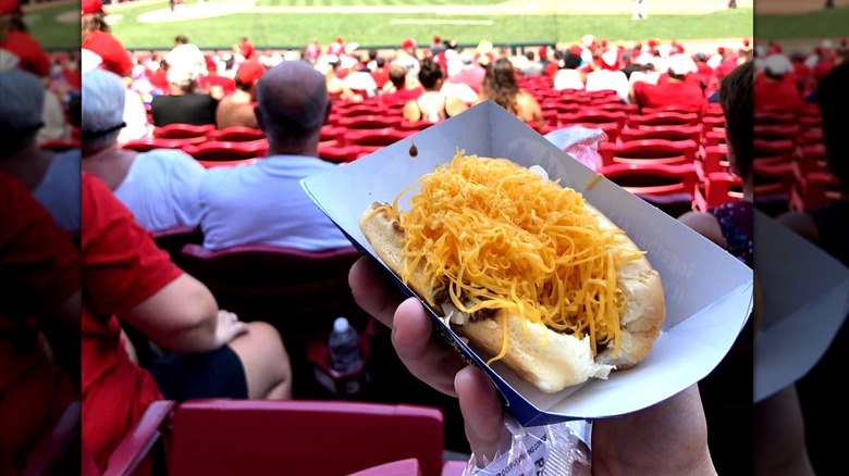 A fan in the ballpark stands, holding a cheese covered coney dog in a paper tray