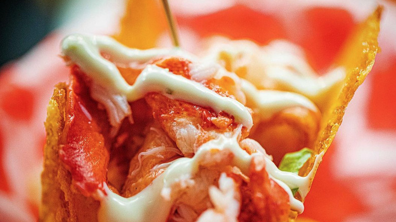 The Highroller Lobster Company's lobster roll taco