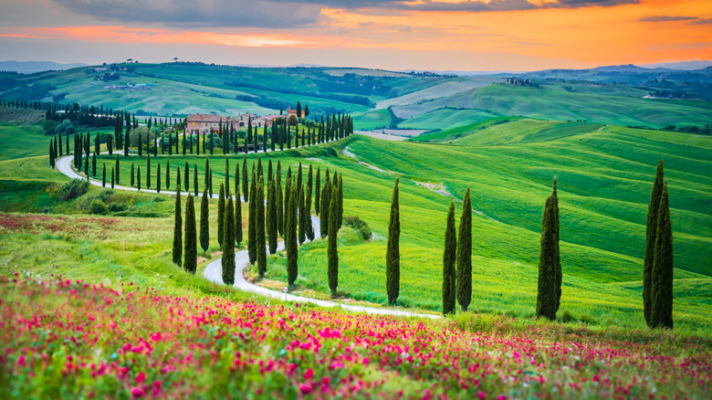 Tuscan countryside landscape at sunset