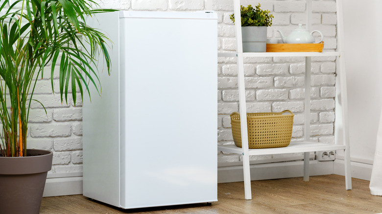 White mini fridge sitting next to a plant and a shelf