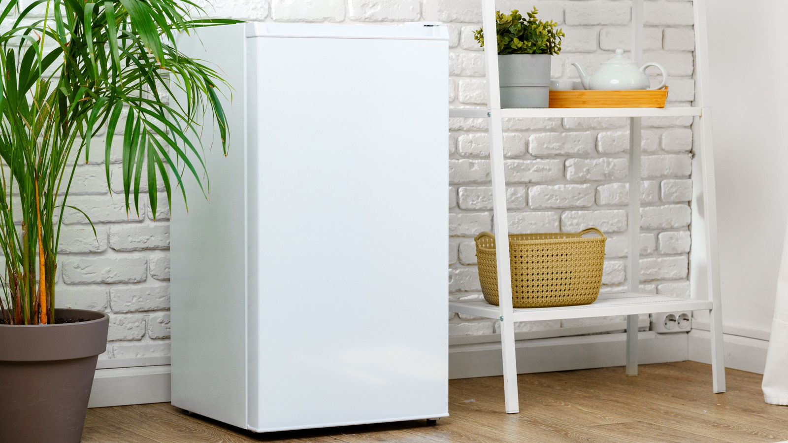 The Best Mini-Fridge For Dorm Season 2026, Per Consumer Reports