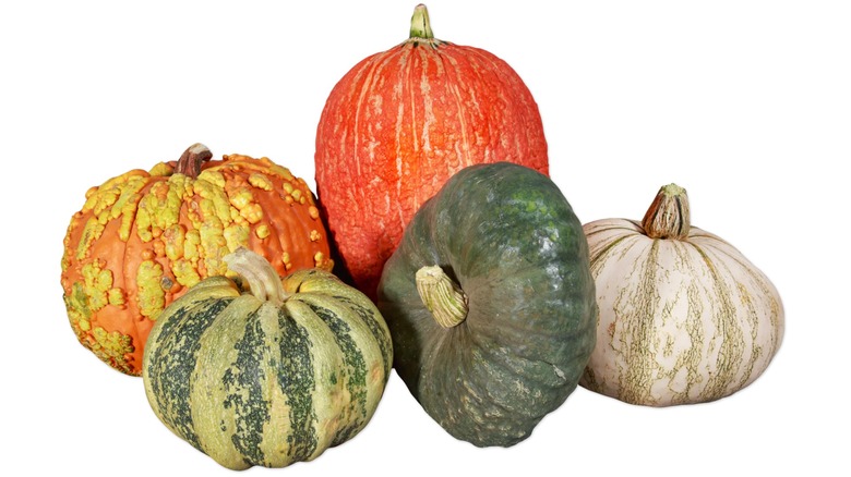 Variety of decorative pumpkins