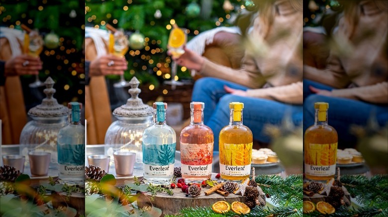 Friends with Everleaf in foreground