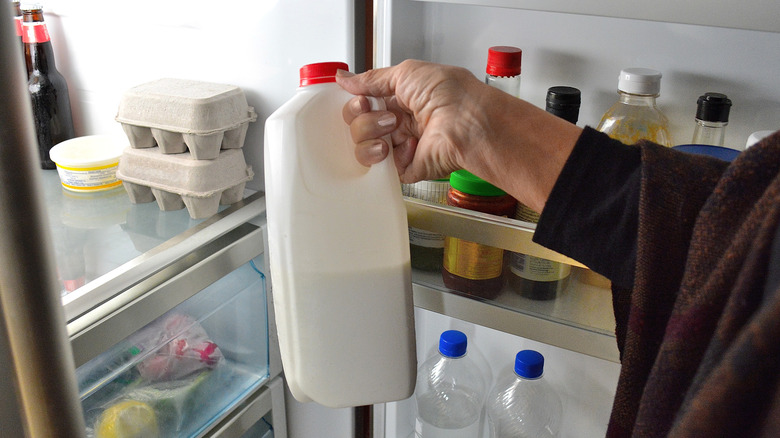 Person putting milk in fridge