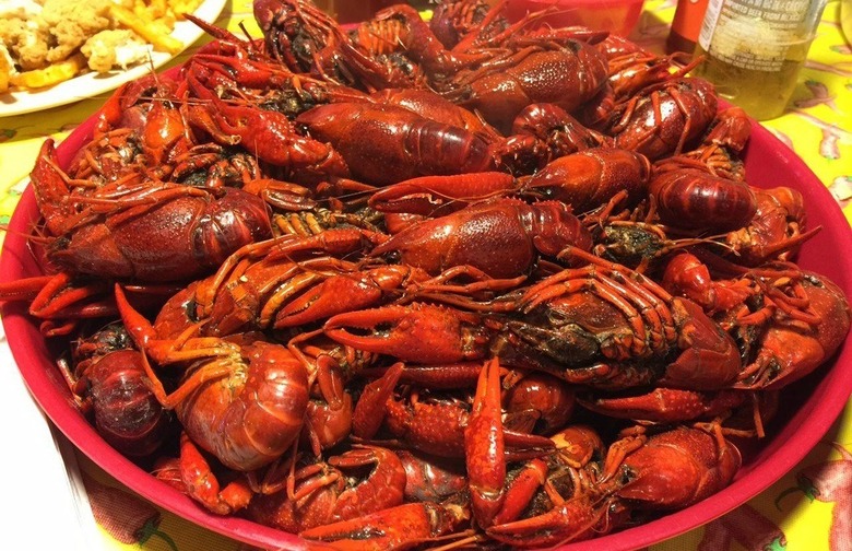 Hawk's Crawfish, Rayne, La.