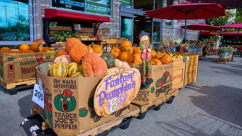 A display of pumpkins outside of a Trader Joe's storefront
