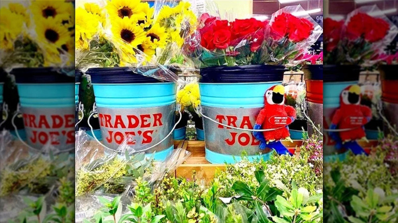 A photo of a parrot stuffed animal in a flower display at Trader Joe's