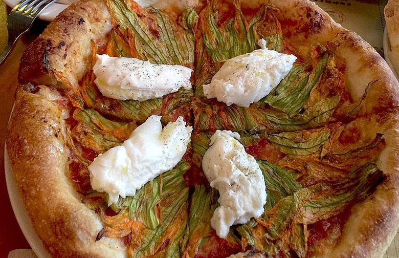Squash Blossom, Pizzeria Mozza (Los Angeles, California)